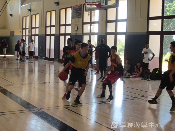 Michael Jordan籃球巨星訓練營,學聯遊學團