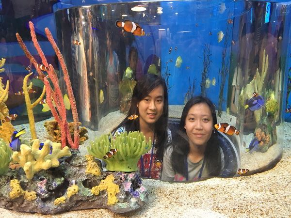 多倫多文化風情體驗之旅,學聯遊學團
