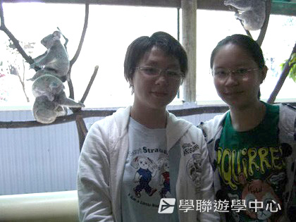 昆士蘭遊學 + 農莊生活體驗,學聯遊學團