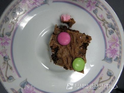 悉尼都會文化體驗遊學假期,學聯遊學團