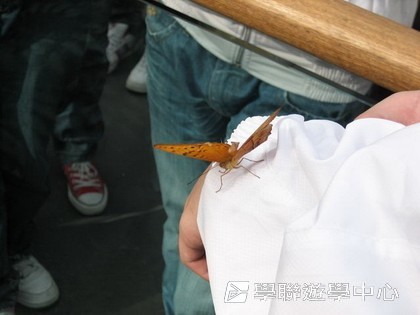 悉尼都會文化體驗遊學假期,學聯遊學團