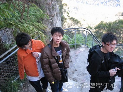 悉尼都會文化體驗遊學假期,學聯遊學團