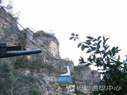 悉尼都會文化體驗遊學假期,學聯遊學團