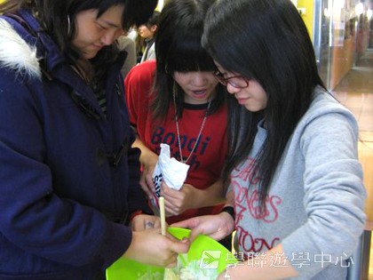 悉尼都會文化體驗遊學假期,學聯遊學團