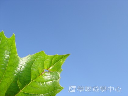 卑斯省英語文化交流營,學聯遊學團