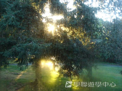 卑斯省英語文化交流營,學聯遊學團