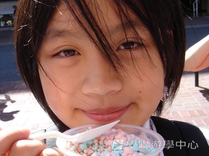 卑斯省英語文化交流營,學聯遊學團