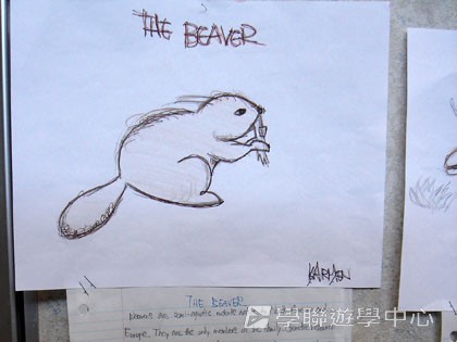 卑斯省英語文化交流營,學聯遊學團