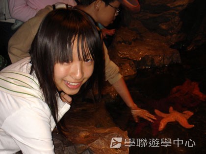 卑斯省英語文化交流營,學聯遊學團