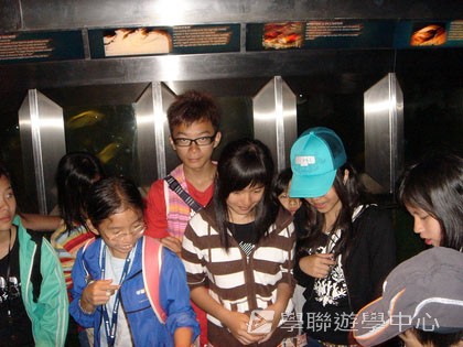 卑斯省英語文化交流營,學聯遊學團