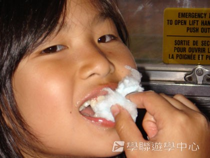 卑斯省英語文化交流營,學聯遊學團