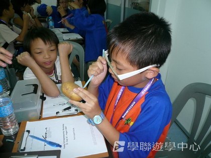 新加坡小小企業家興趣之旅,學聯遊學團