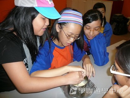新加坡小小企業家興趣之旅,學聯遊學團