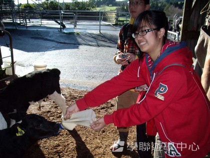 紐西蘭英語飛行探索之旅,學聯遊學團