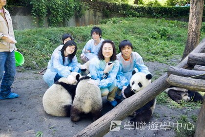 基地義工體驗營,學聯遊學團