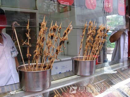 北京十四天課程,學聯遊學團