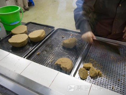 基地義工體驗營,學聯遊學團