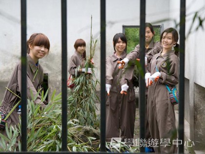 基地義工體驗營,學聯遊學團