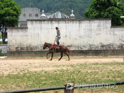 ,學聯遊學團