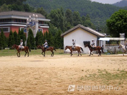 ,學聯遊學團