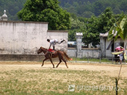 ,學聯遊學團