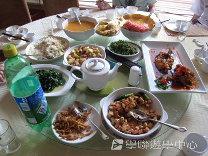 多元智能動感夏令營,學聯遊學團