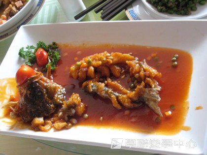 多元智能動感夏令營,學聯遊學團