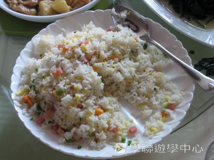 多元智能動感夏令營,學聯遊學團