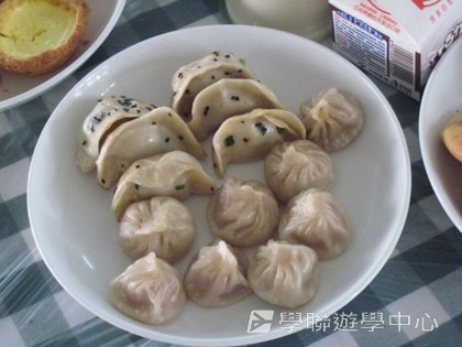 多元智能動感夏令營,學聯遊學團
