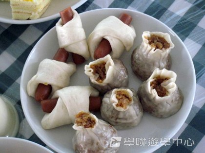 多元智能動感夏令營,學聯遊學團