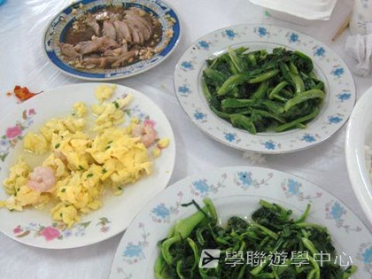 多元智能動感夏令營,學聯遊學團