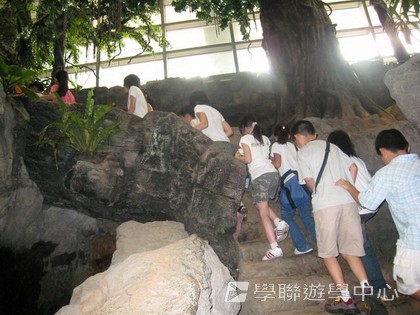 多元智能動感夏令營,學聯遊學團