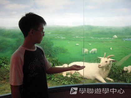 多元智能動感夏令營,學聯遊學團