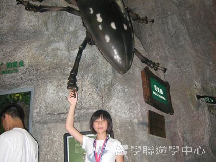 多元智能動感夏令營,學聯遊學團