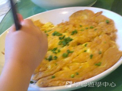 多元智能動感夏令營,學聯遊學團