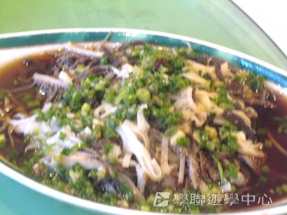 多元智能動感夏令營,學聯遊學團