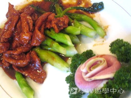 多元智能動感夏令營,學聯遊學團