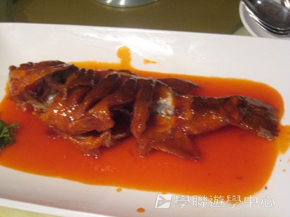 多元智能動感夏令營,學聯遊學團