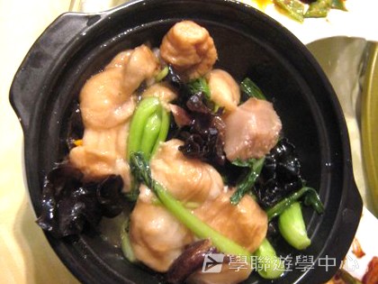 多元智能動感夏令營,學聯遊學團