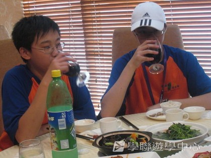 多元智能動感夏令營,學聯遊學團