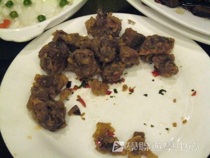 多元智能動感夏令營,學聯遊學團