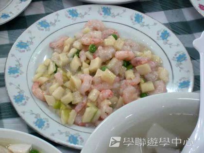 多元智能動感夏令營,學聯遊學團